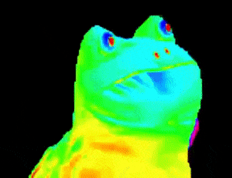 Tańcząca tęczowa żaba